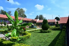 NAG_9613