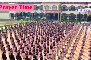 Pandavapura Institution